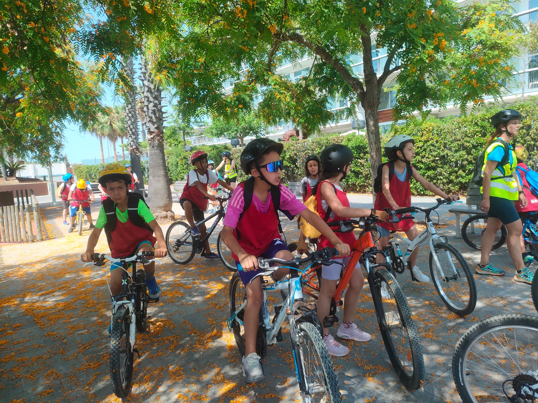 WhatsApp Image 2025-06-17 at 18.26.13