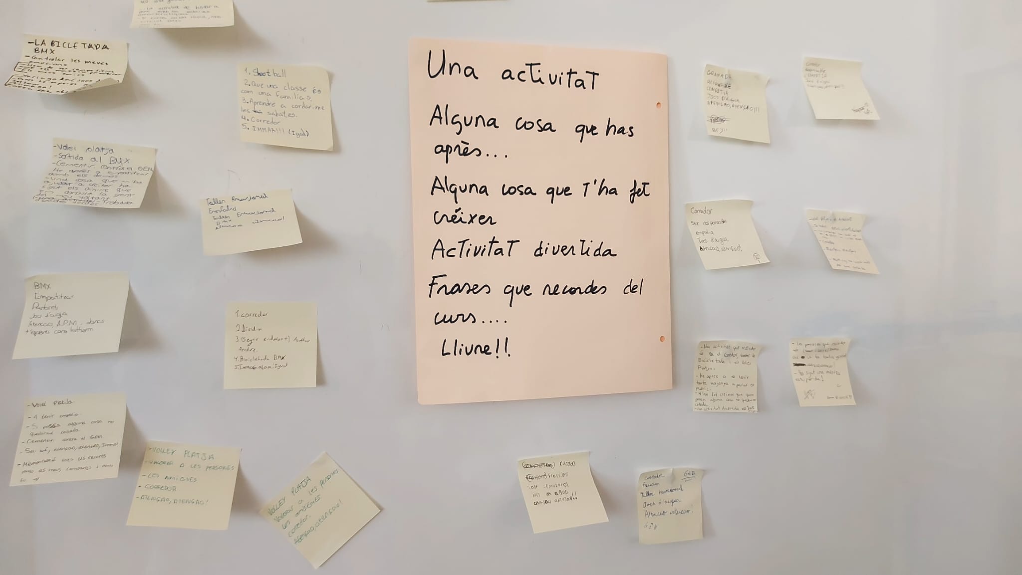 WhatsApp Image 2025-06-19 at 17.02.43