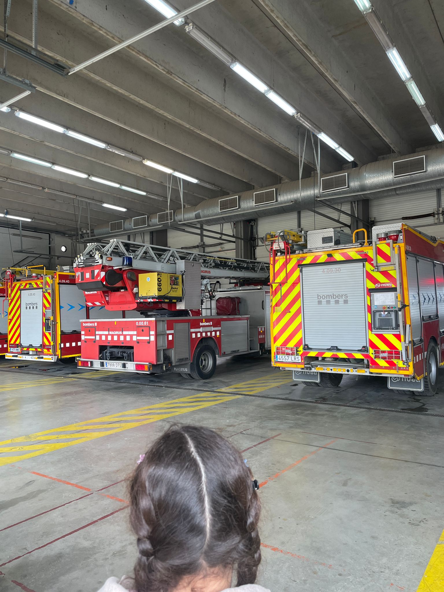 WhatsApp Image 2026-01-17 at 08.31.36