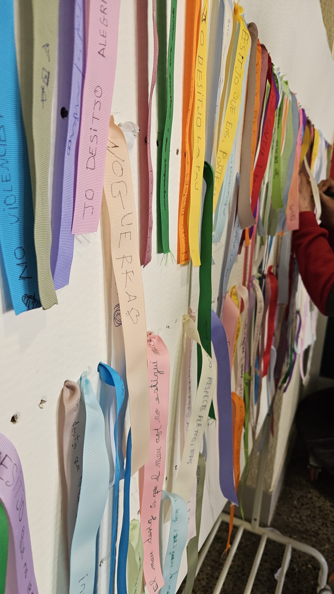 WhatsApp Image 2026-01-30 at 11.22.10 (1)