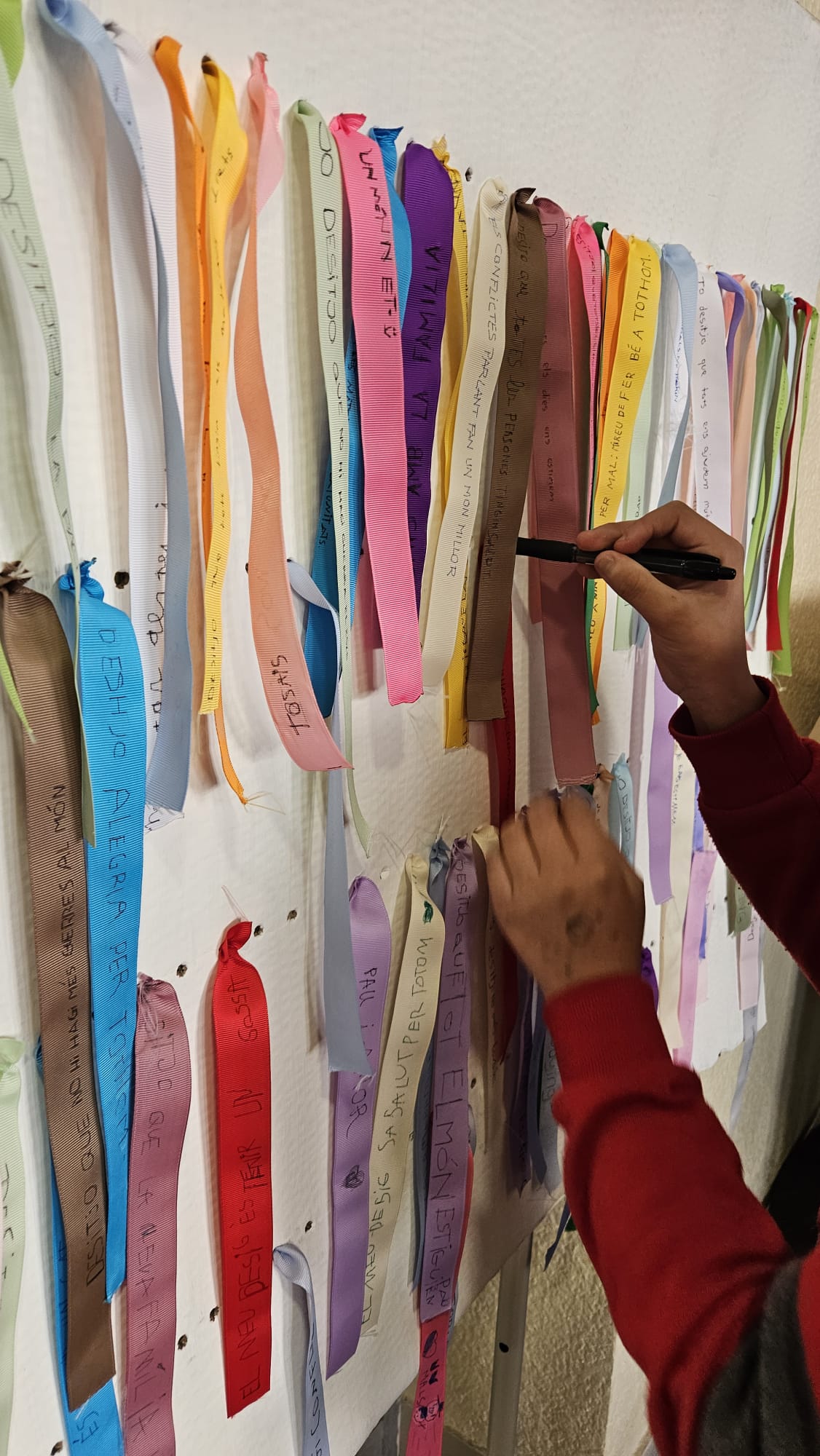 WhatsApp Image 2026-01-30 at 11.22.10