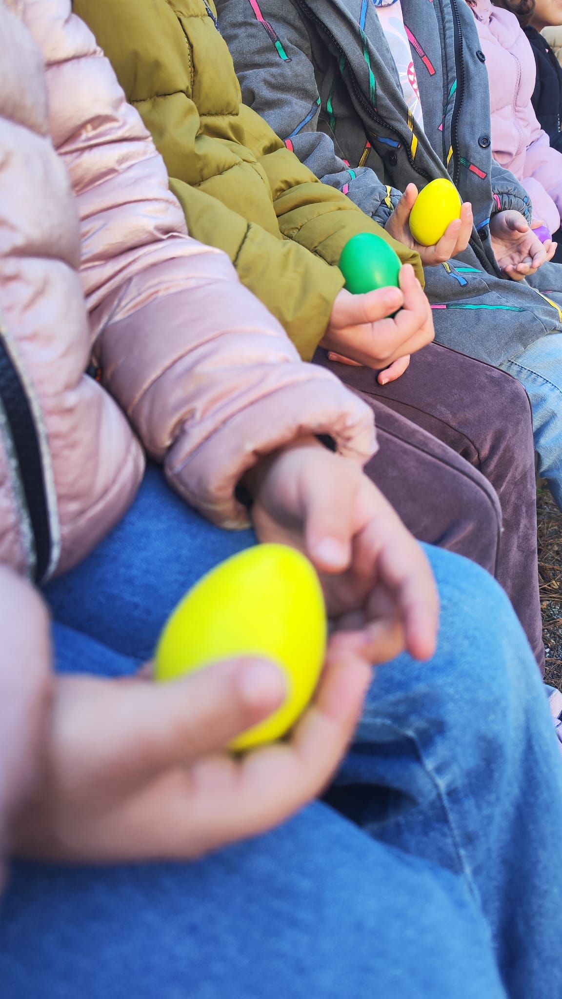 WhatsApp Image 2026-01-30 at 11.22.11