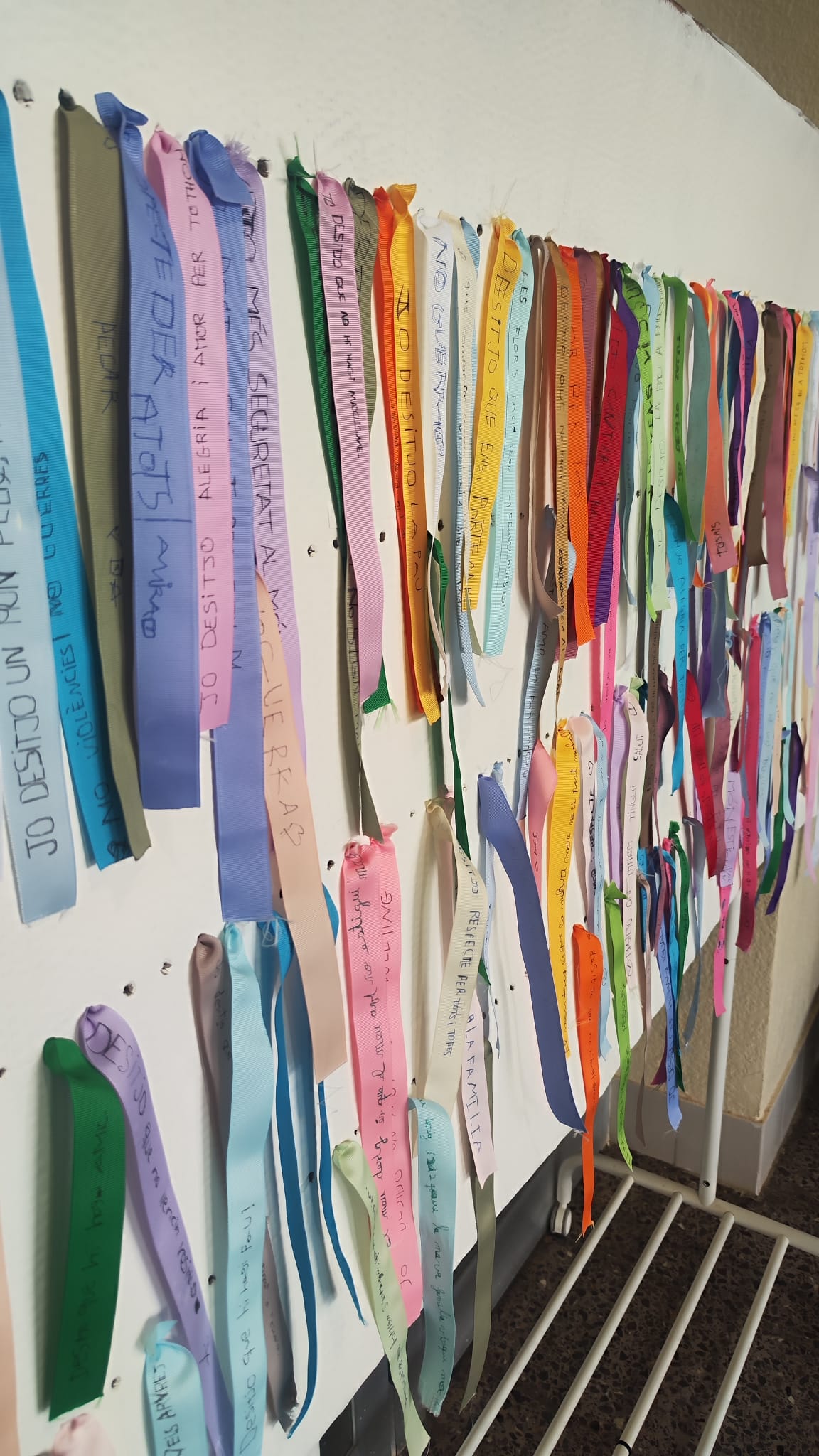 WhatsApp Image 2026-01-30 at 11.22.13 (1)