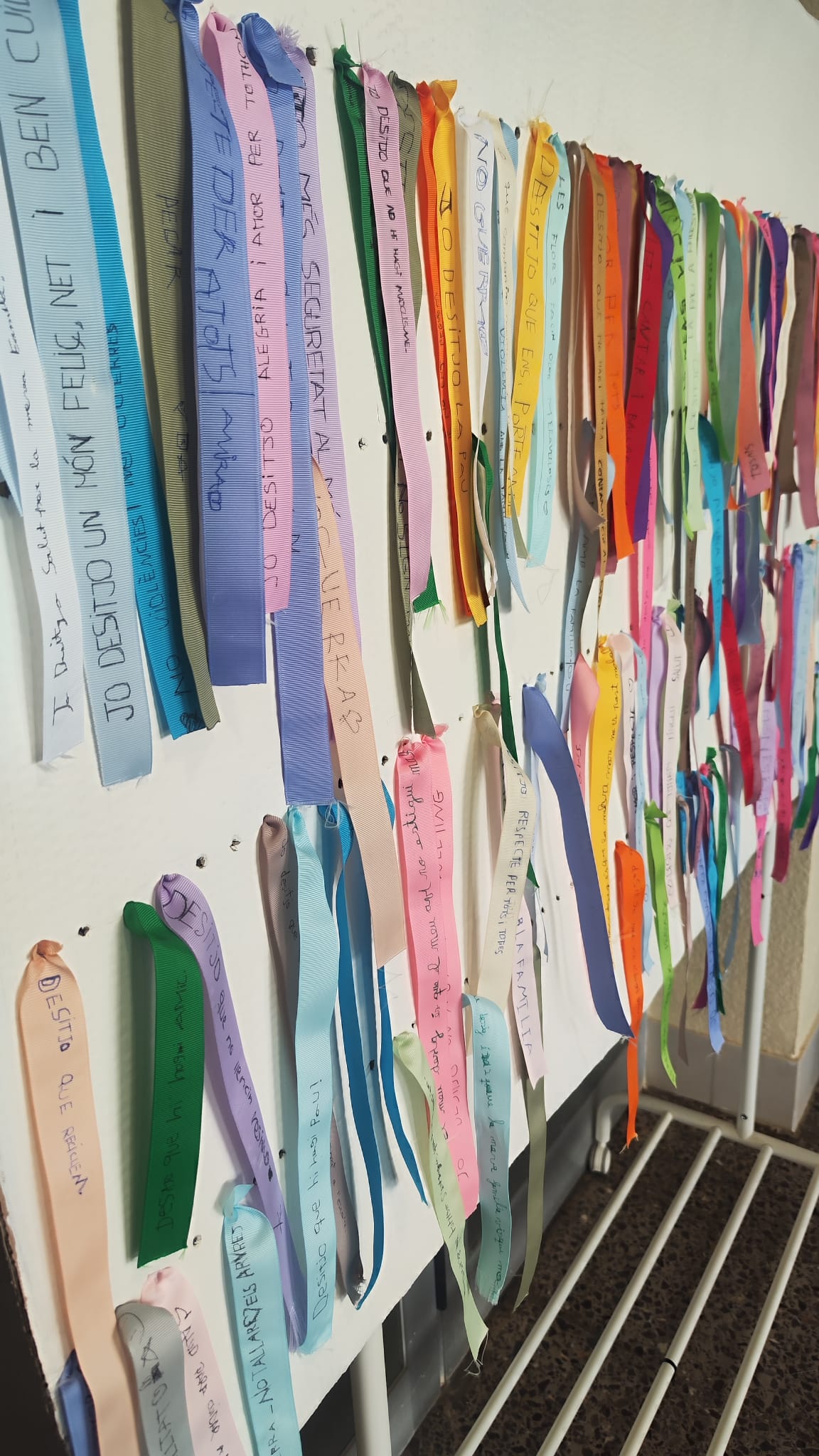 WhatsApp Image 2026-01-30 at 11.22.13 (2)