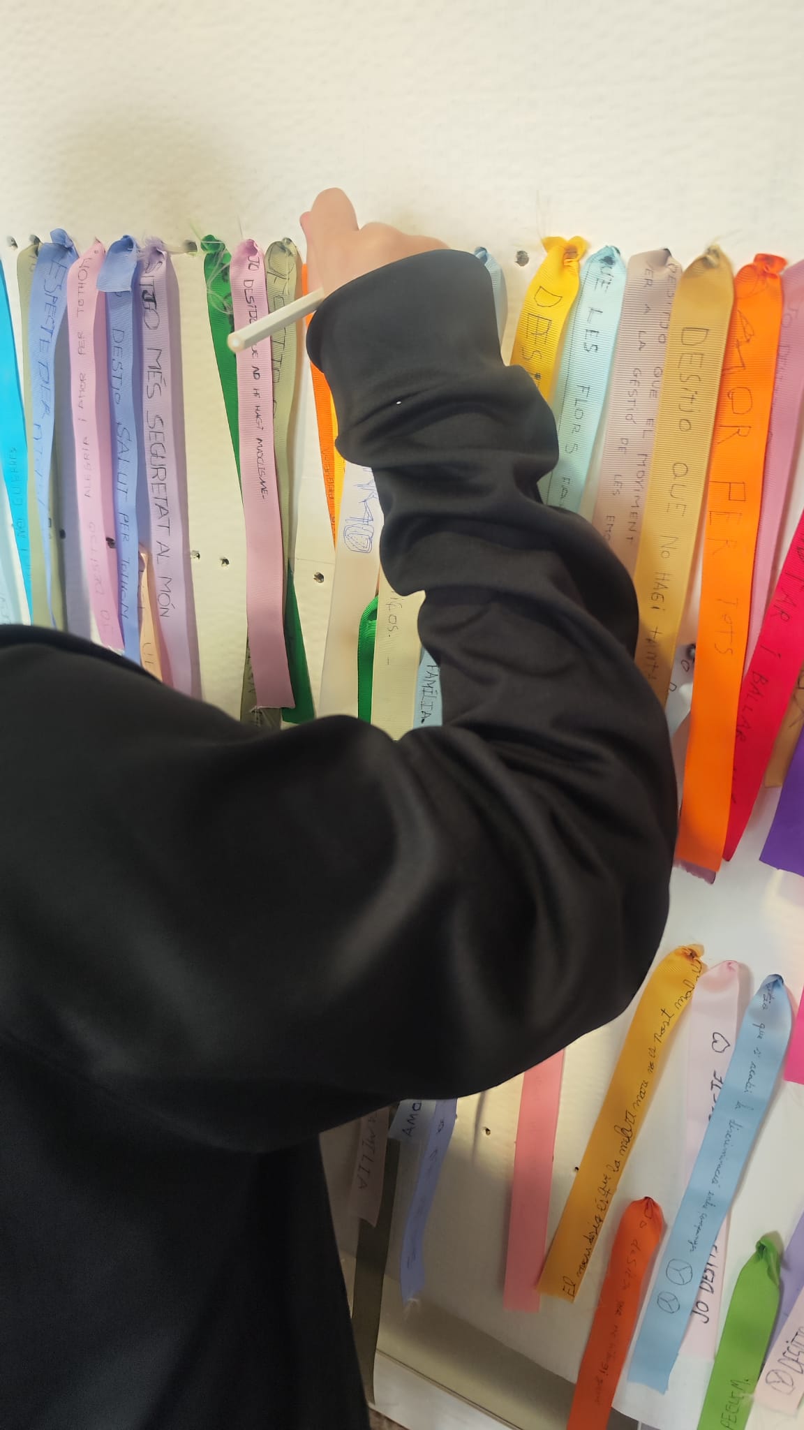 WhatsApp Image 2026-01-30 at 11.22.13