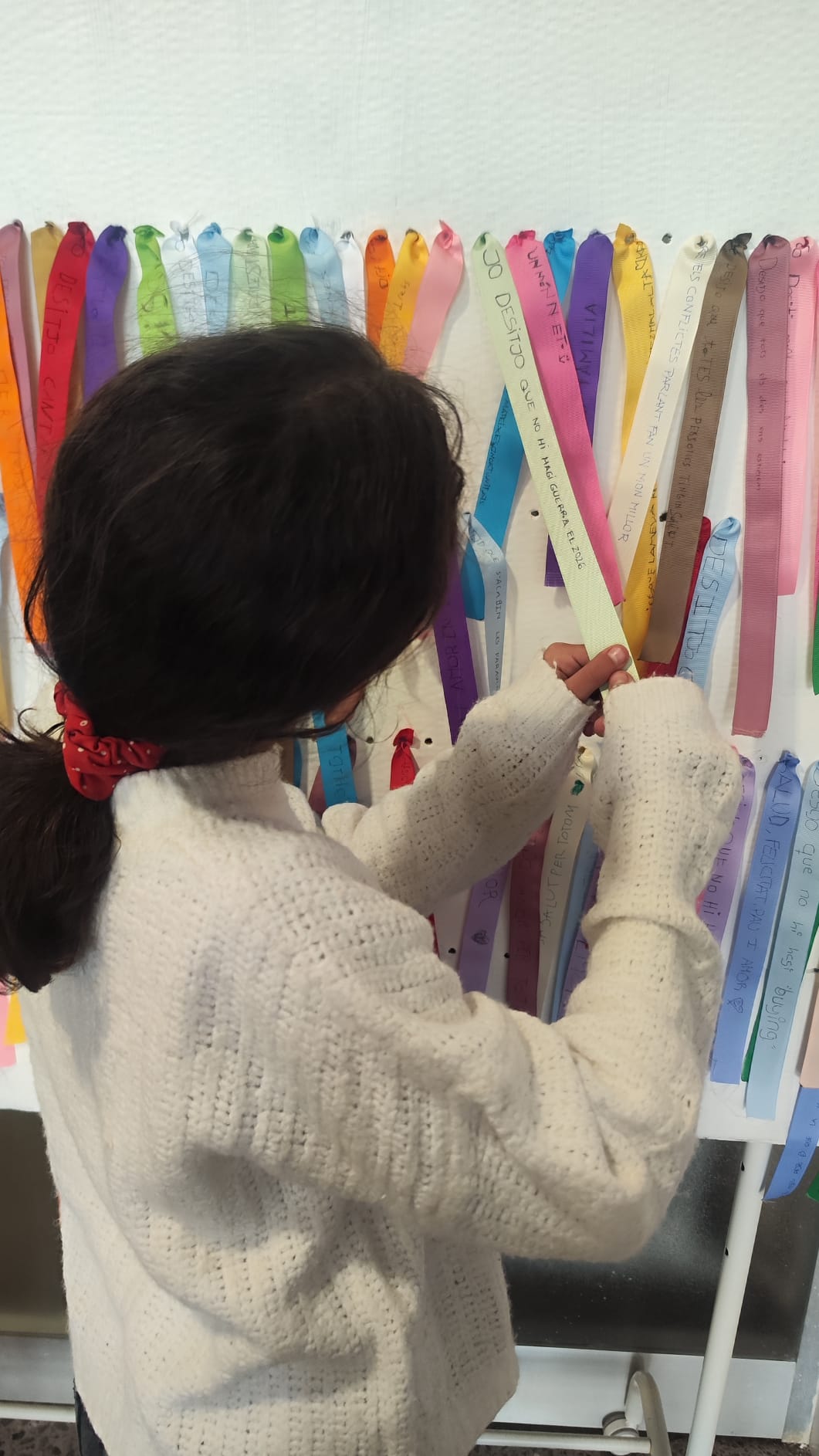 WhatsApp Image 2026-01-30 at 11.22.14