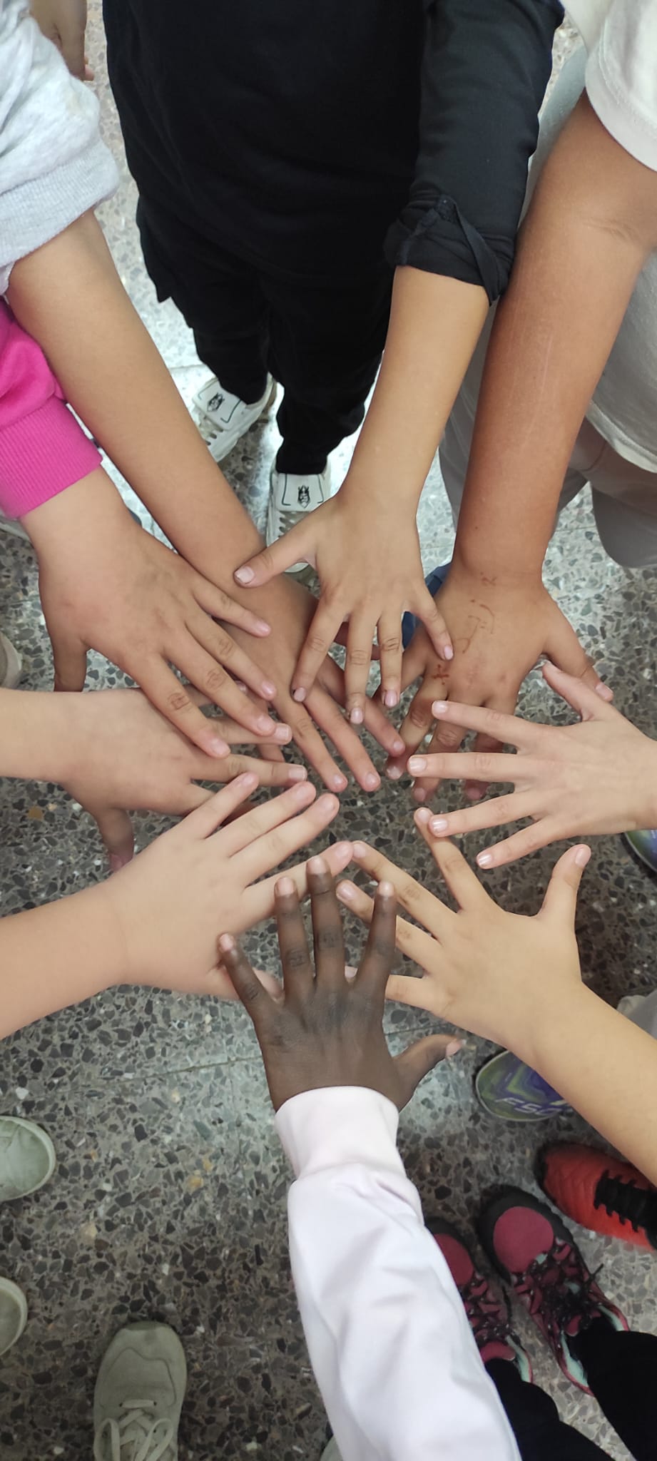 WhatsApp Image 2026-02-03 at 08.36.12 (1)