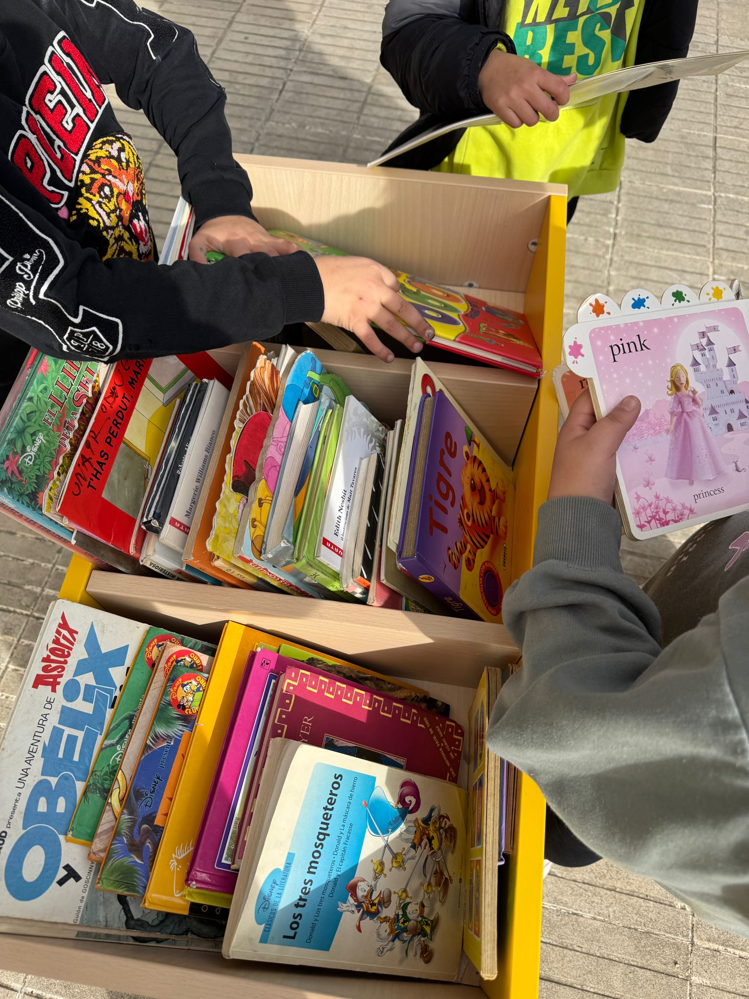 WhatsApp Image 2026-02-10 at 11.19.59 (1)