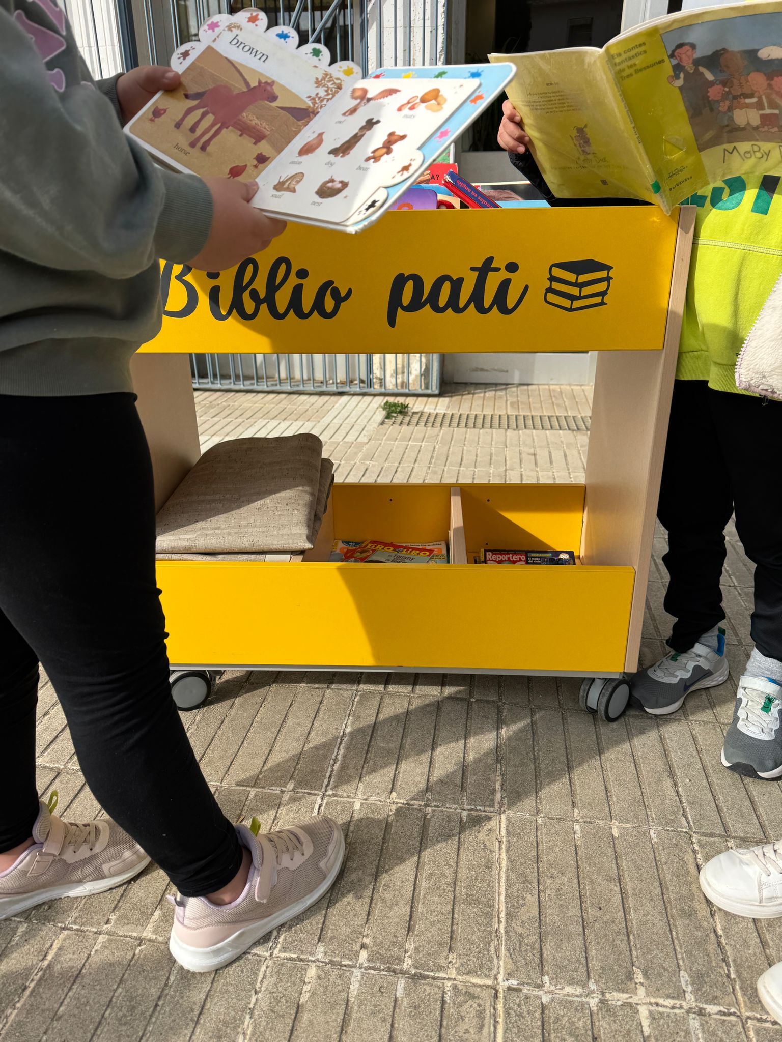 WhatsApp Image 2026-02-10 at 11.19.59