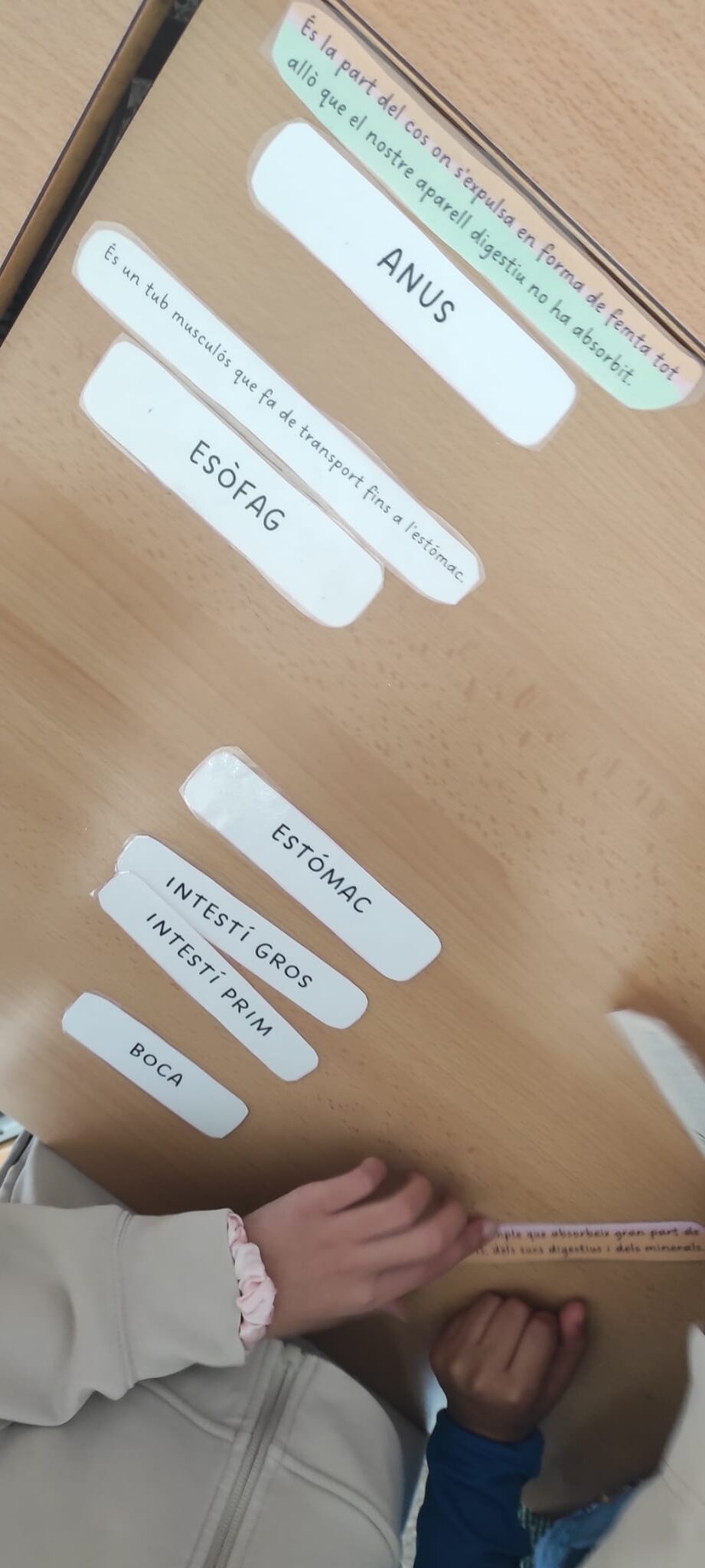 WhatsApp Image 2026-02-10 at 12.22.57 (1)