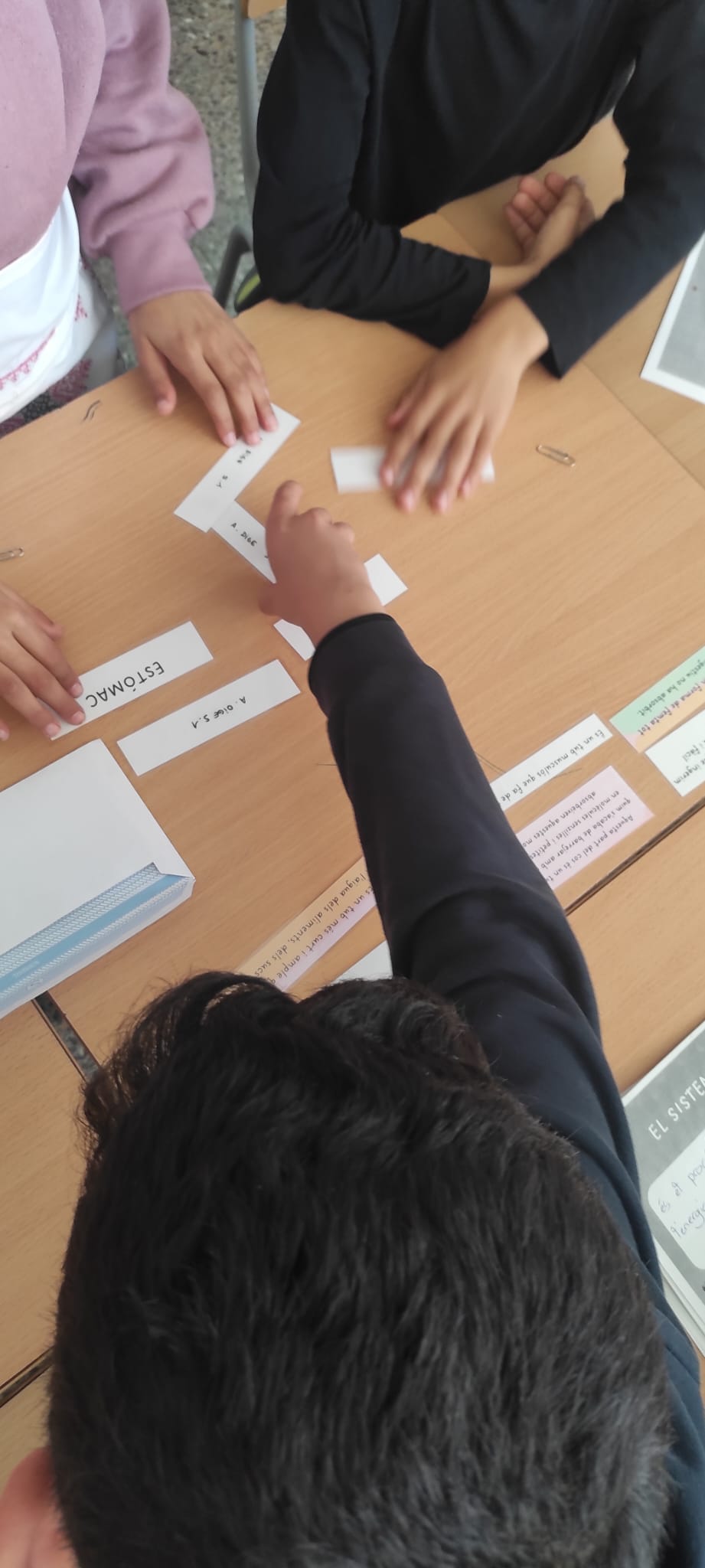 WhatsApp Image 2026-02-10 at 12.22.57 (2)