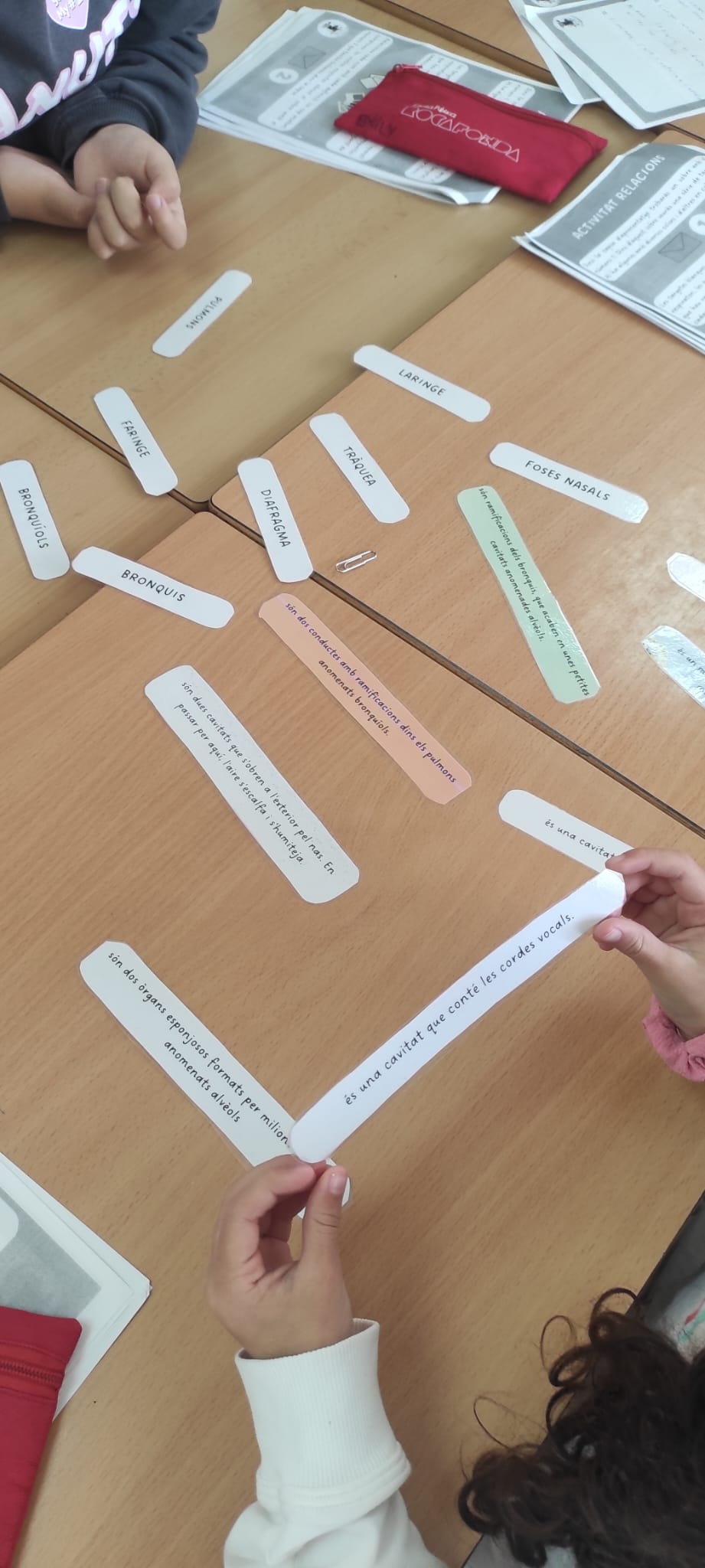 WhatsApp Image 2026-02-10 at 12.22.58