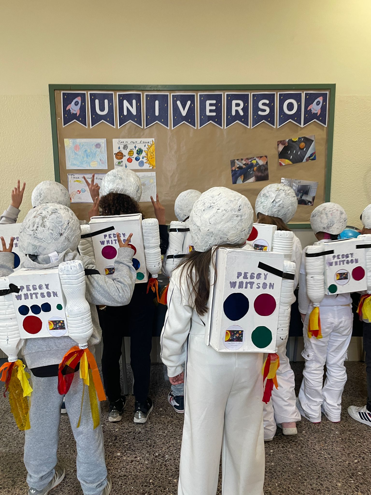 WhatsApp Image 2026-02-13 at 19.11.54