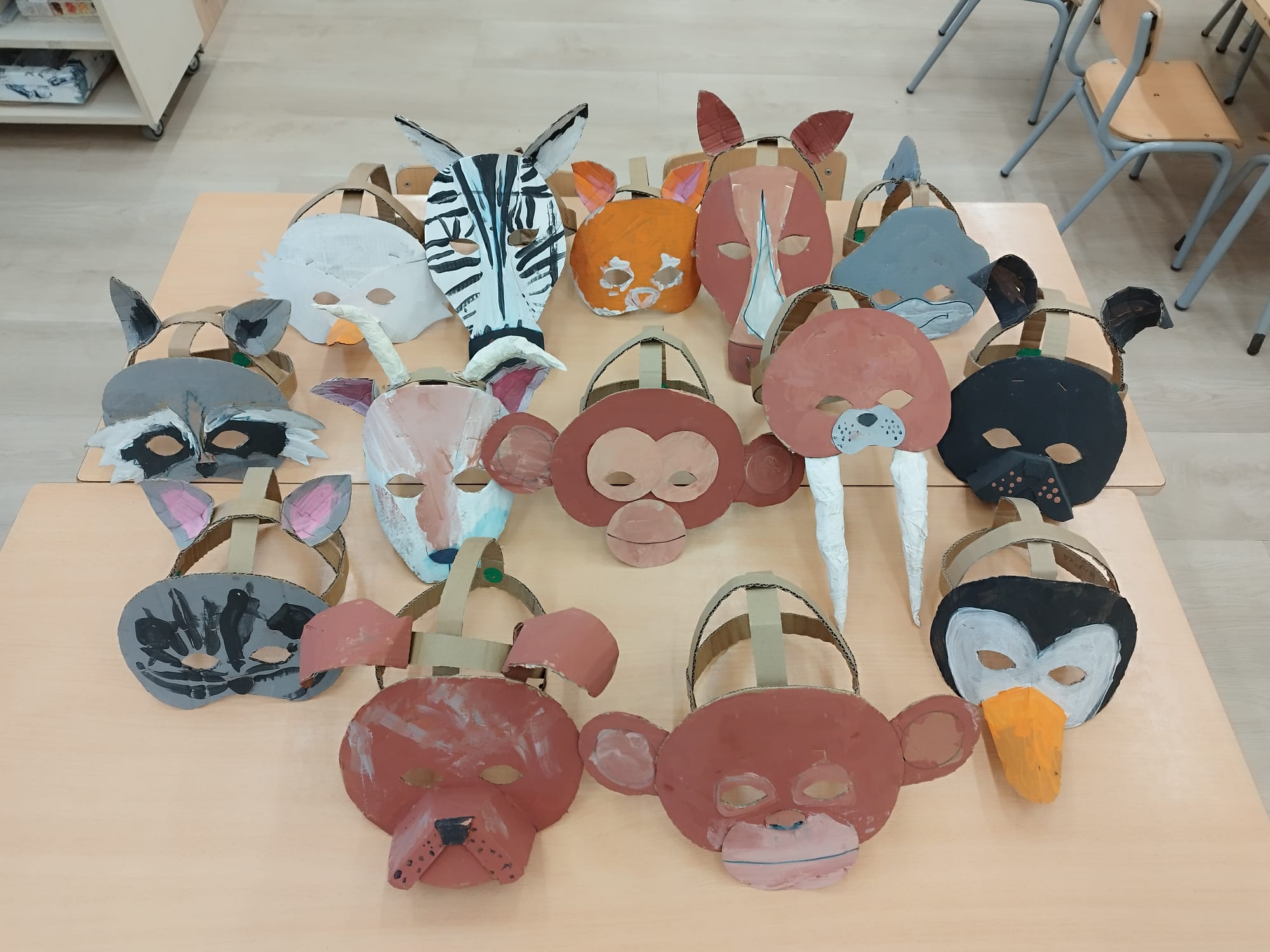 WhatsApp Image 2026-02-13 at 19.11.57