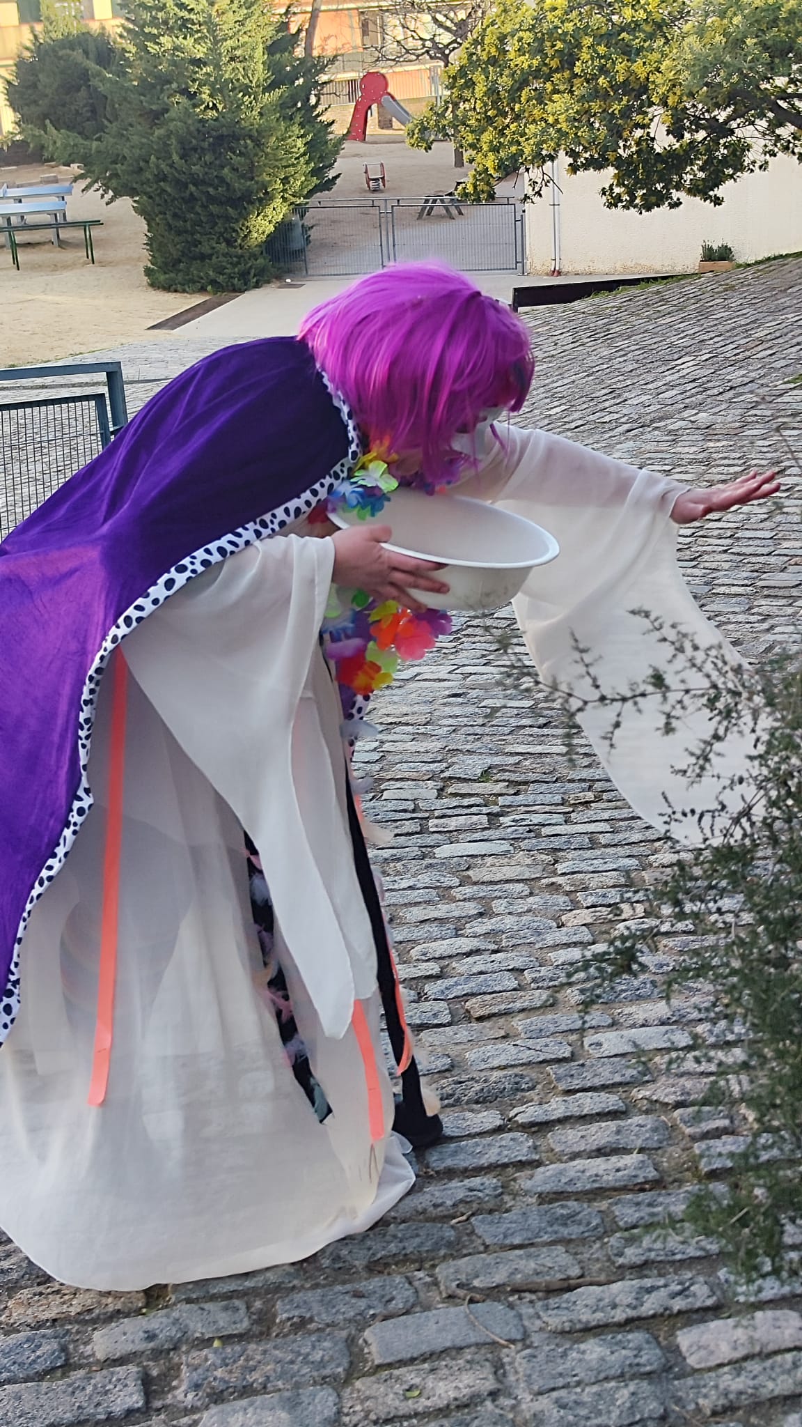 WhatsApp Image 2026-02-19 at 13.20.30