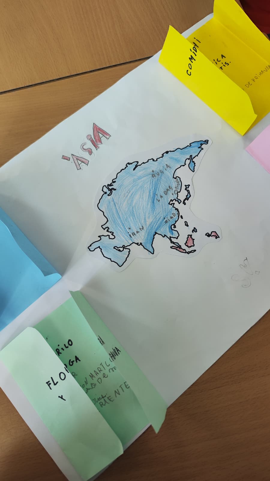 WhatsApp Image 2026-02-19 at 22.13.41