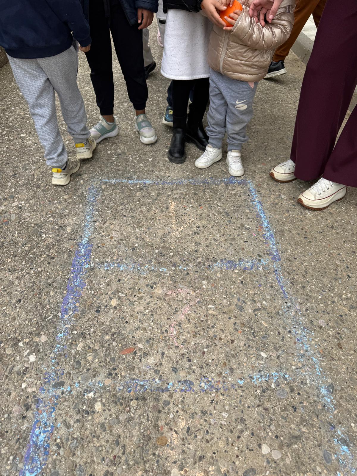 WhatsApp Image 2026-02-20 at 17.20.44 (2)