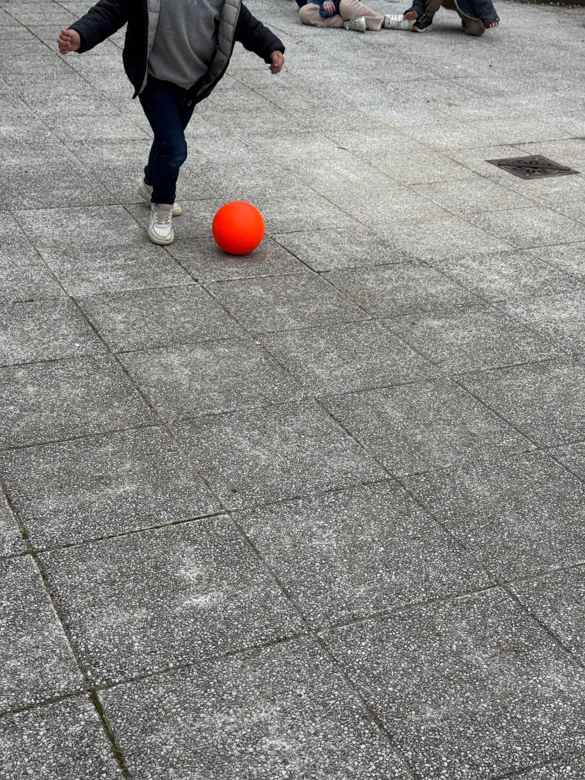 WhatsApp Image 2026-02-20 at 17.20.44 (7)