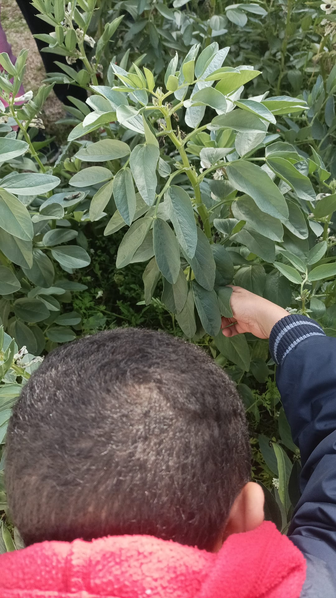 WhatsApp Image 2026-02-24 at 18.17.32