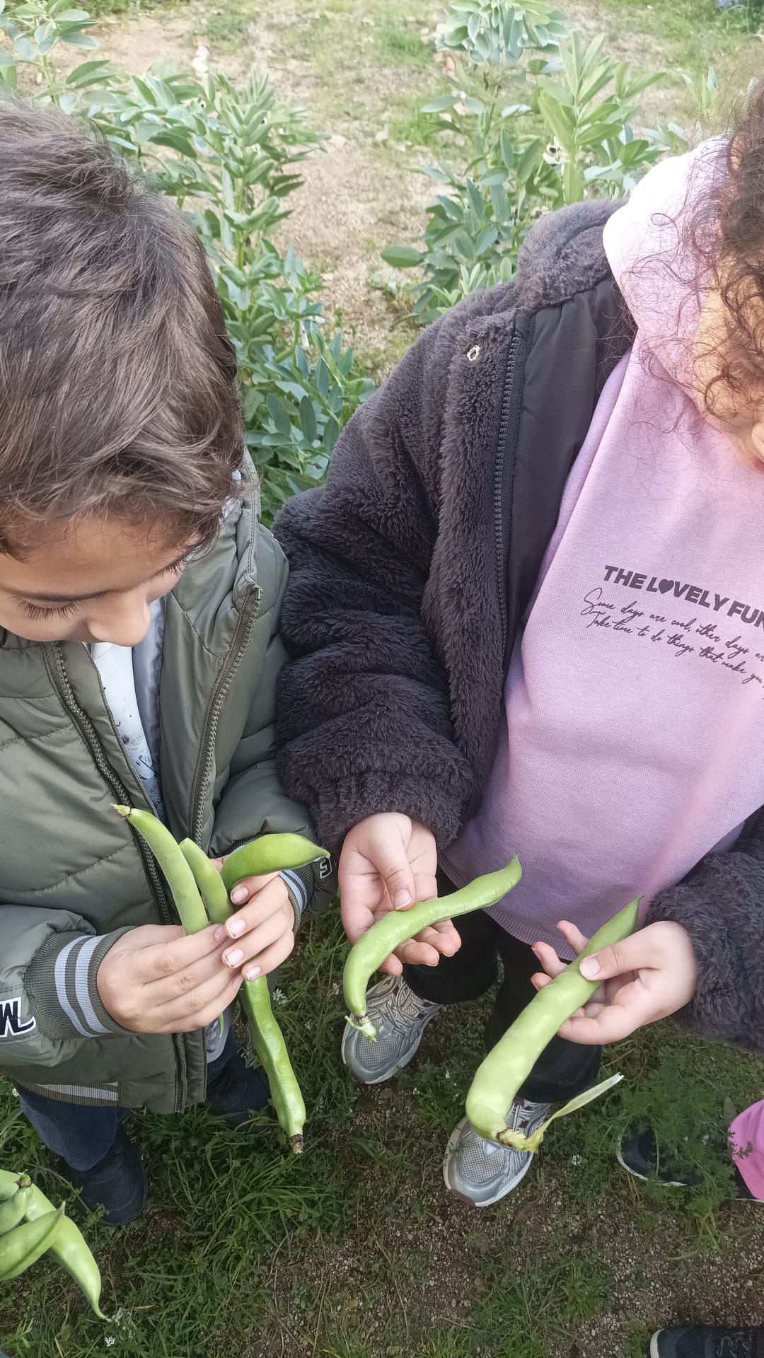 WhatsApp Image 2026-02-24 at 18.17.33 (1)