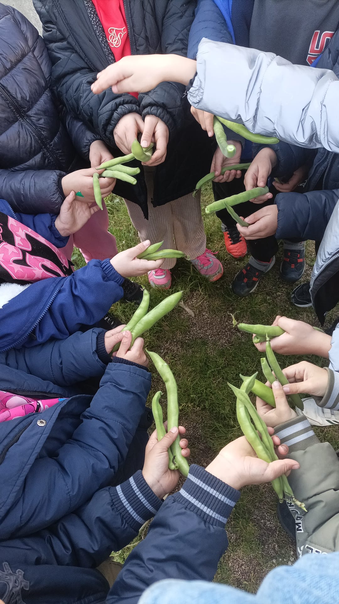 WhatsApp Image 2026-02-24 at 18.17.33 (2)