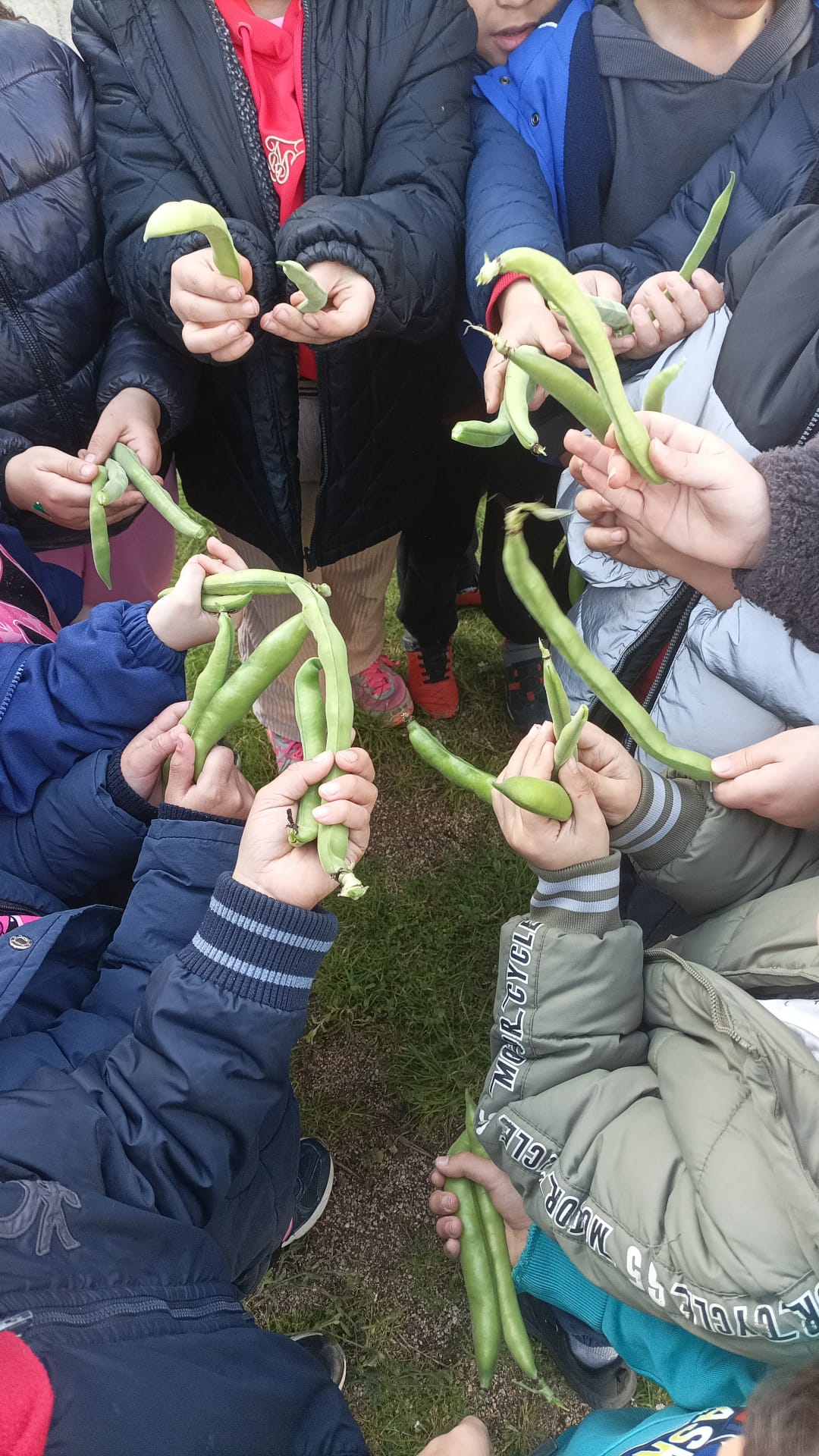 WhatsApp Image 2026-02-24 at 18.17.33 (3)