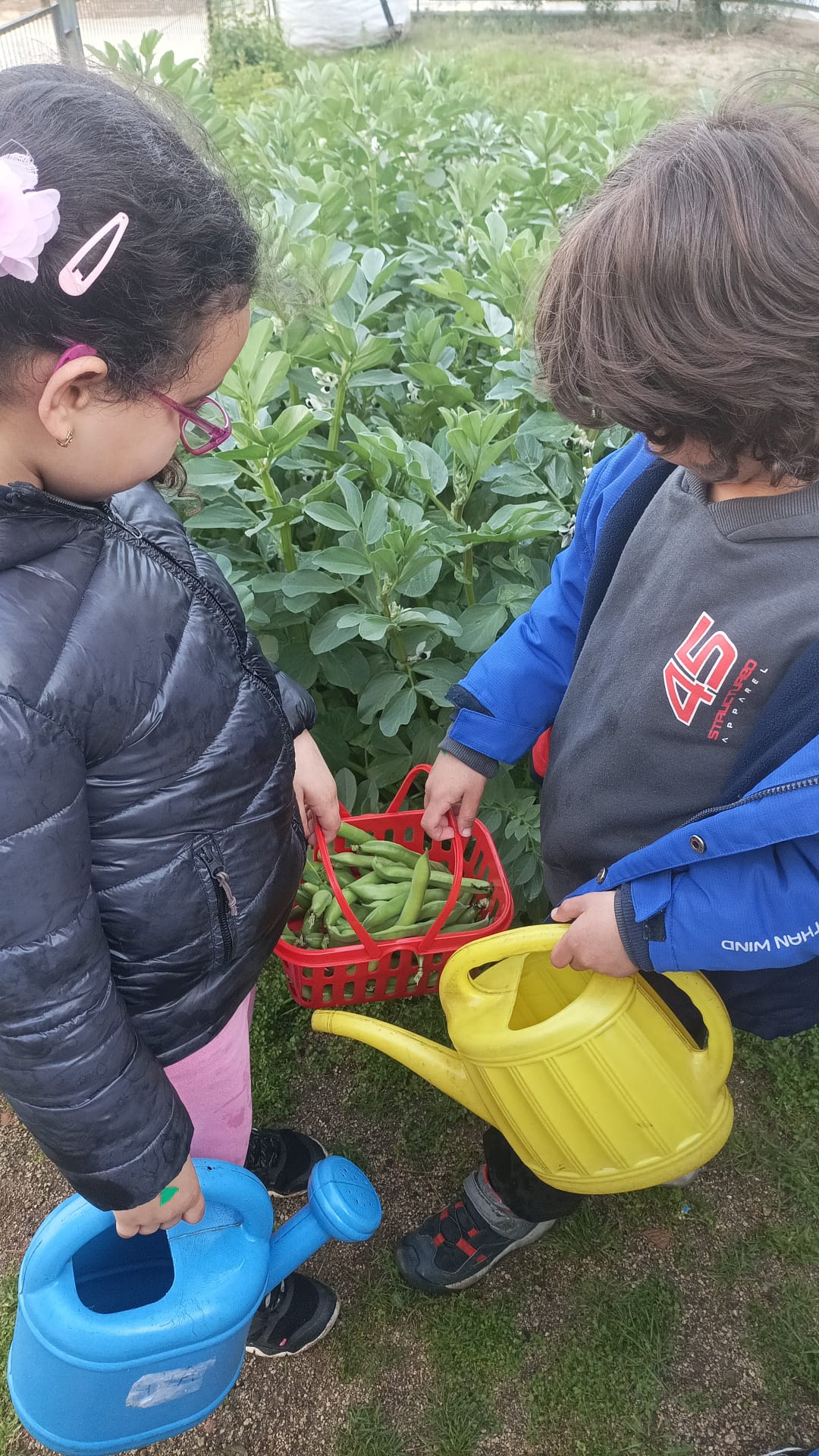 WhatsApp Image 2026-02-24 at 18.17.33 (5)