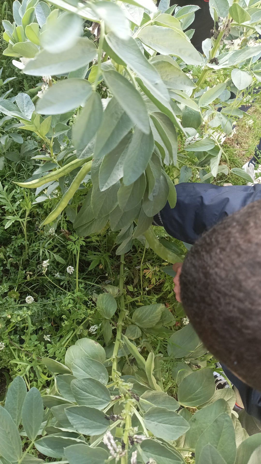 WhatsApp Image 2026-02-24 at 18.17.33