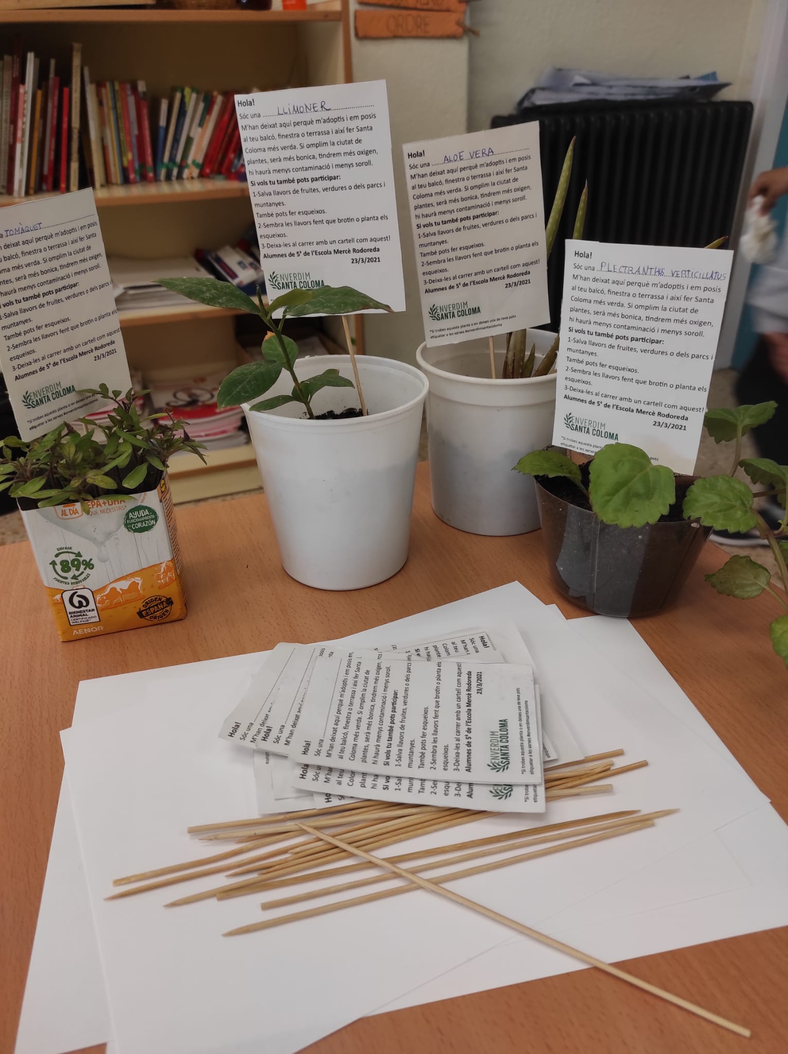 WhatsApp Image 2021-03-26 at 12.45.22 (3)