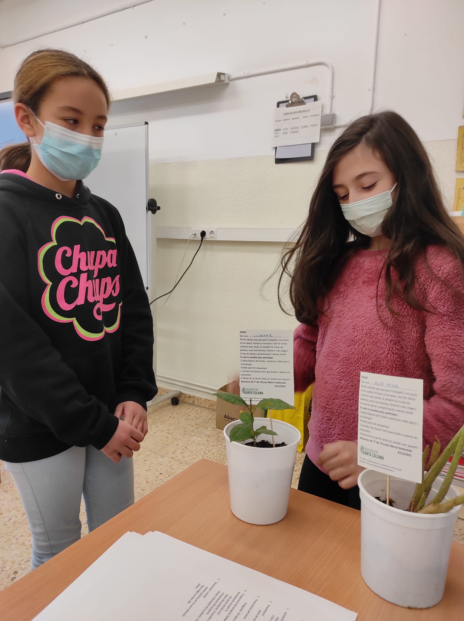 WhatsApp Image 2021-03-26 at 12.45.22 (4)