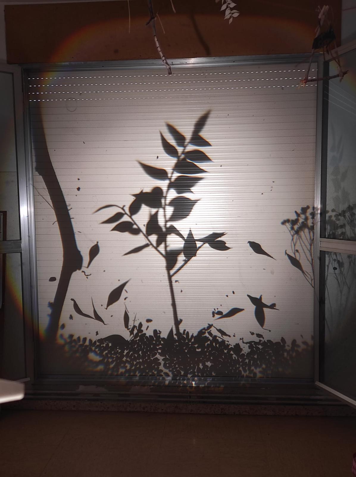 WhatsApp Image 2021-10-07 at 16.46.00