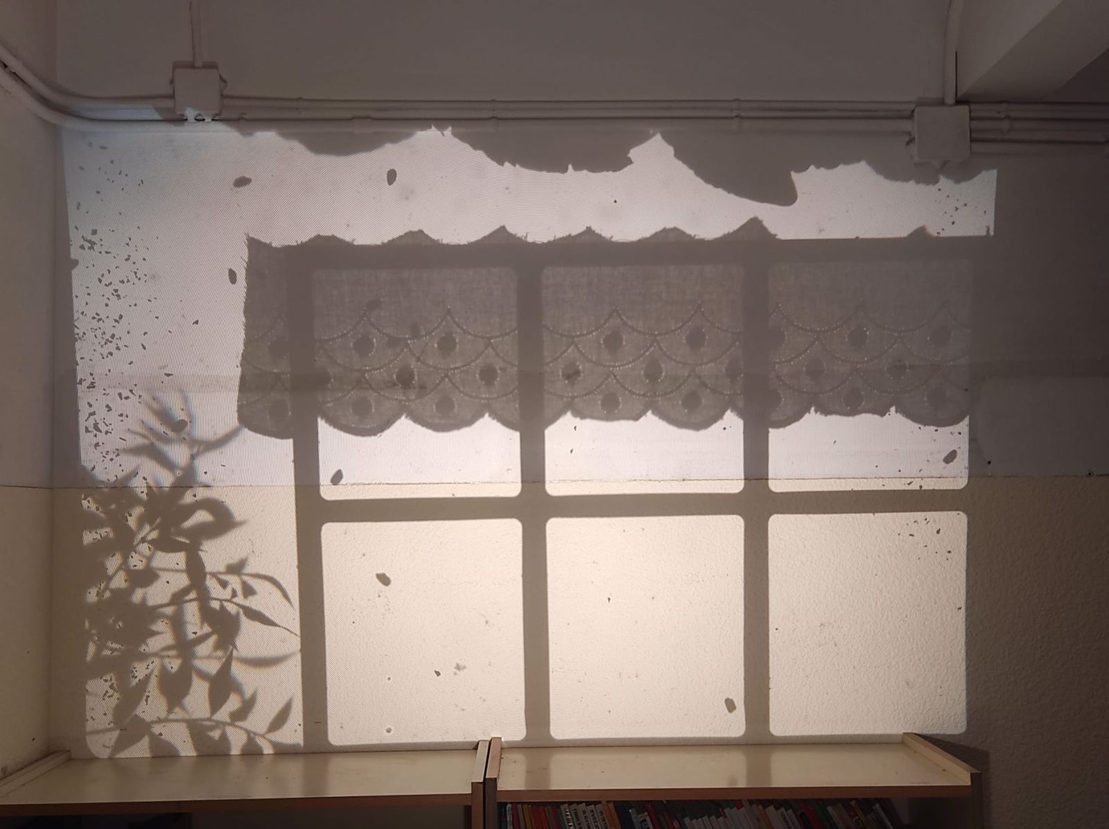 WhatsApp Image 2021-10-07 at 16.46.01