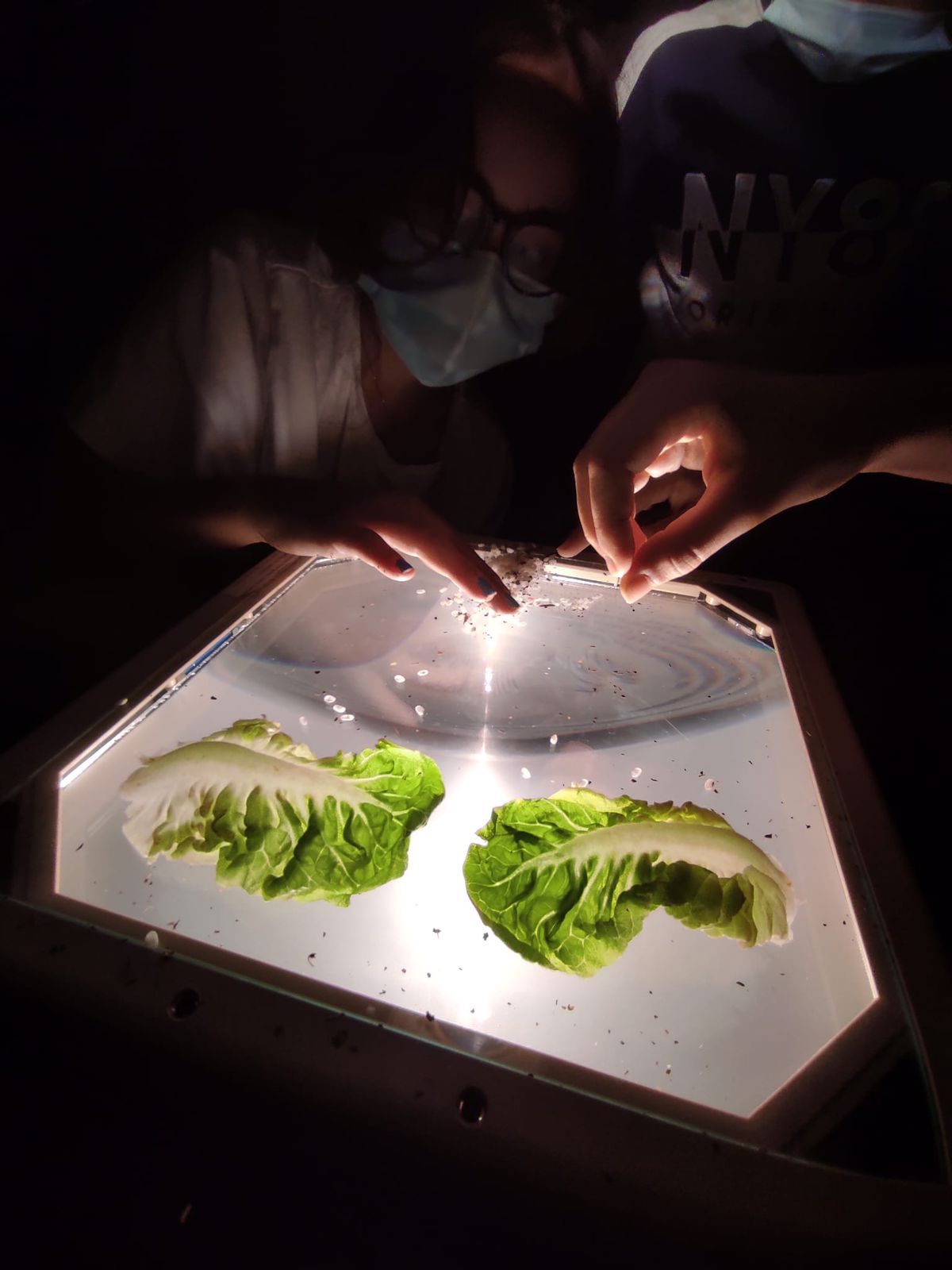 WhatsApp Image 2021-10-07 at 16.46.02 (1)