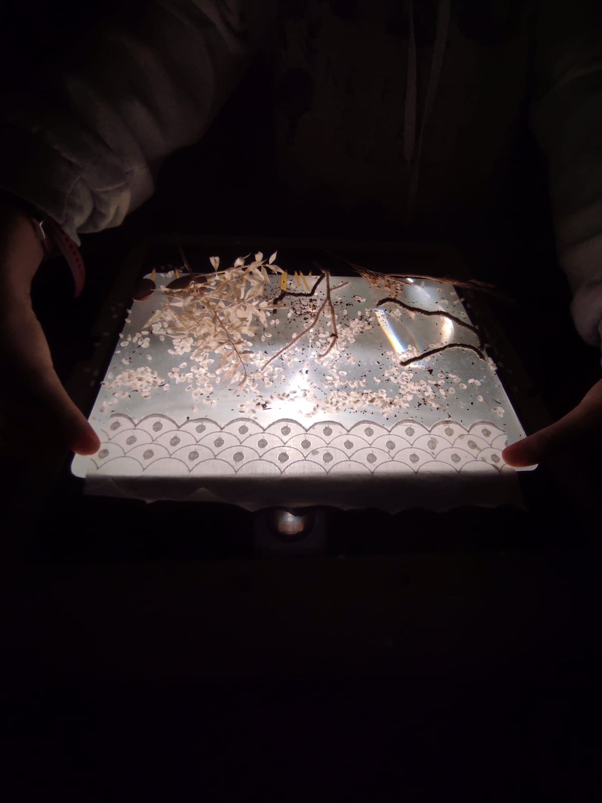 WhatsApp Image 2021-10-07 at 16.46.02