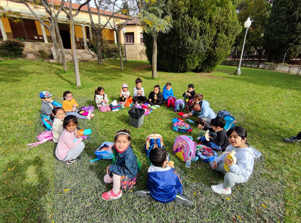 1635961598566 (Copiar)