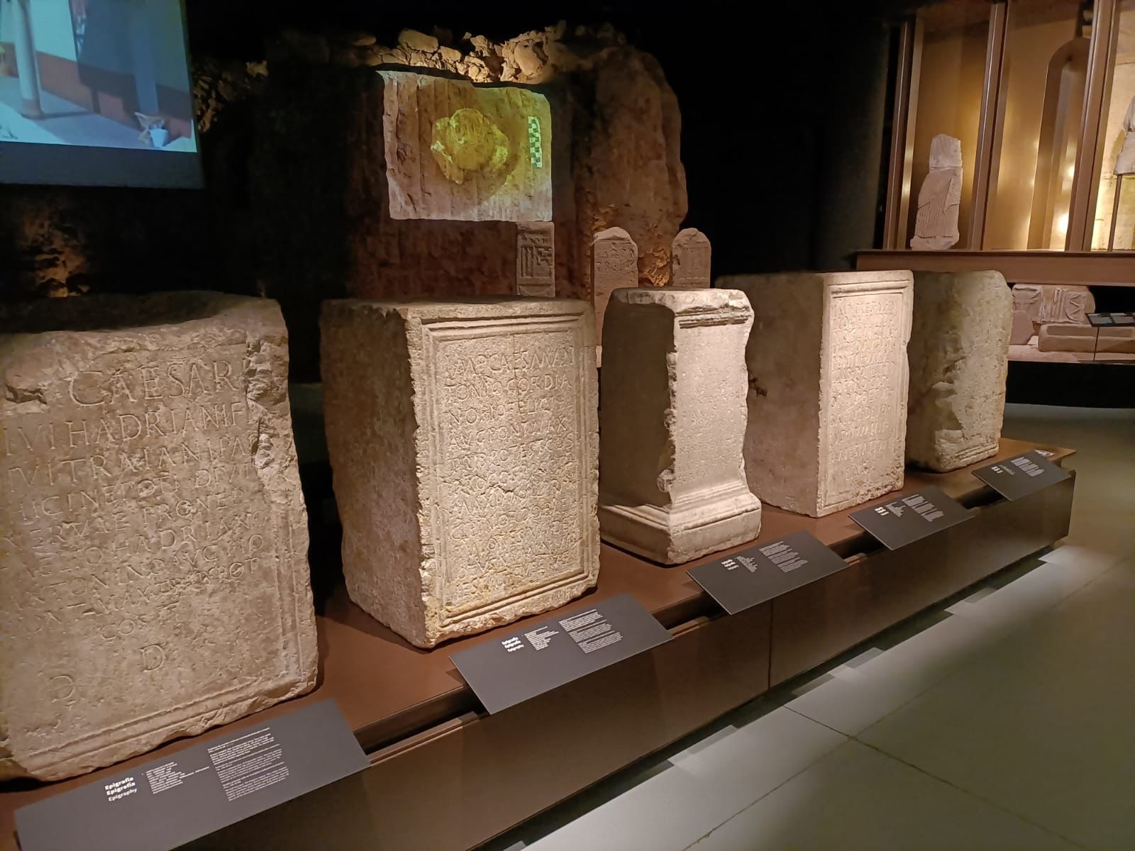 WhatsApp Image 2023-02-12 at 21.28.03 (1)