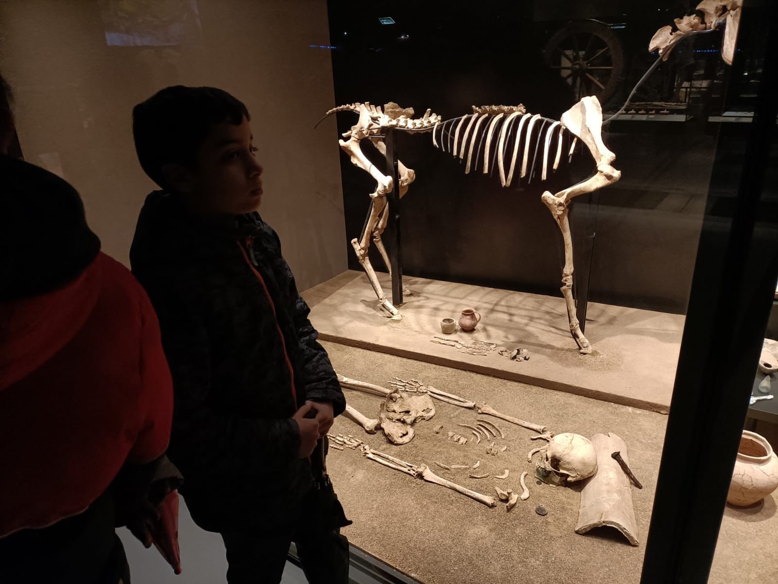 WhatsApp Image 2023-02-12 at 21.28.06