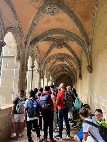 3fa18fa5-8b25-4f77-bb33-a23bd81ba23d (Copy)