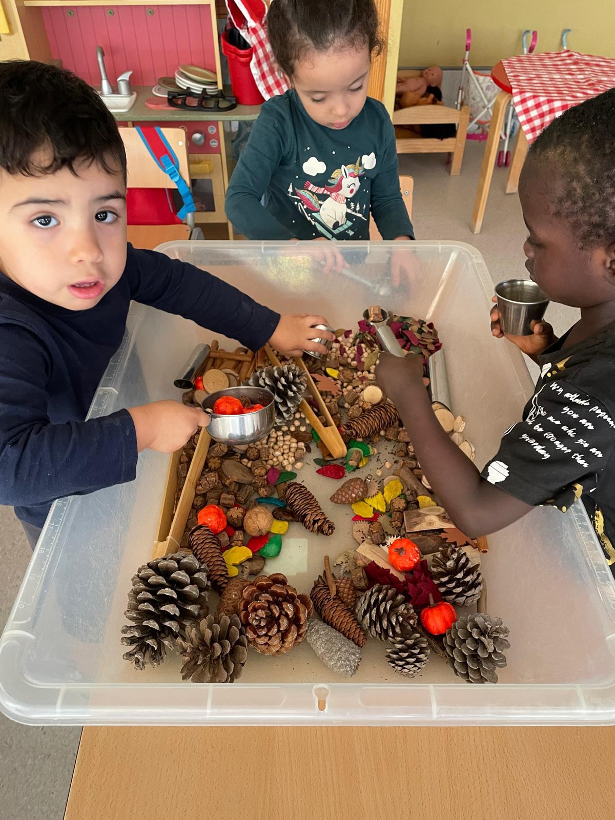 WhatsApp Image 2025-10-15 at 13.40.09