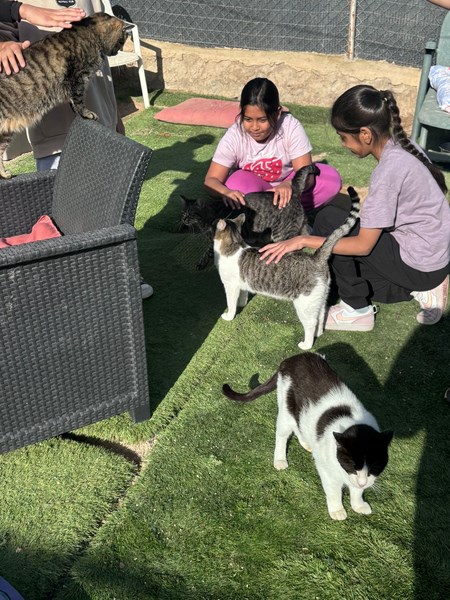 16482EC0-4DFD-4499-9EBB-43D604C7A4DE (Copy)