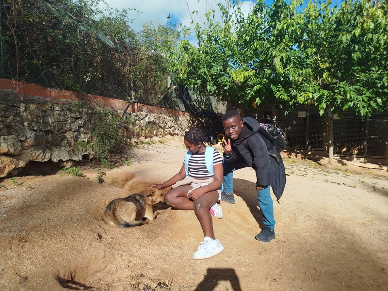 88c32279-5ab9-44e3-8adf-24fdd1f1fa59 (Copy)