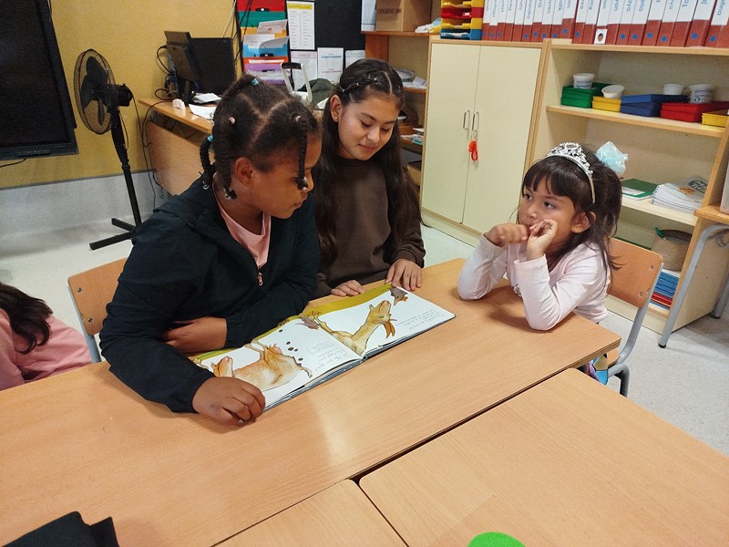 IMG_20251107_155357_1 (Copy)