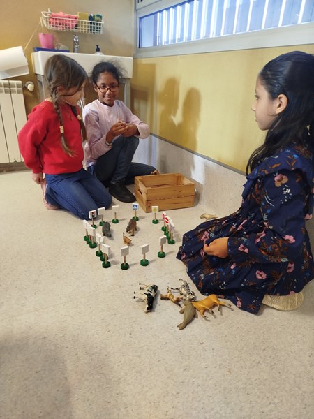 IMG_20251107_160311_1 (Copy)