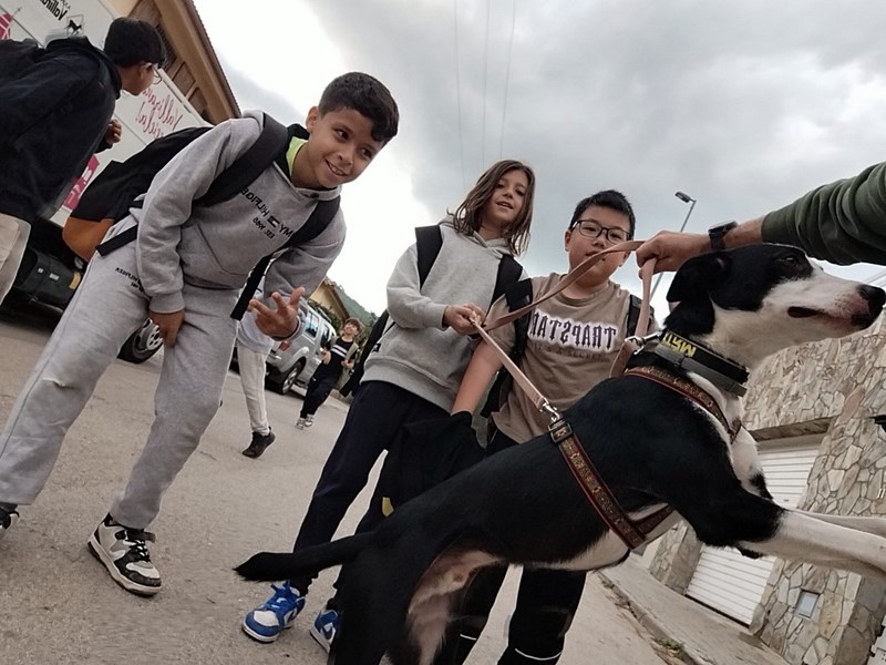 b0d76542-7756-4f93-bbc3-cdbc327eccd9 (Copy)