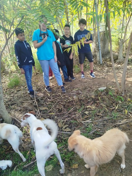 f24847d4-3344-4bfc-9beb-395ba952eae9 (Copy)