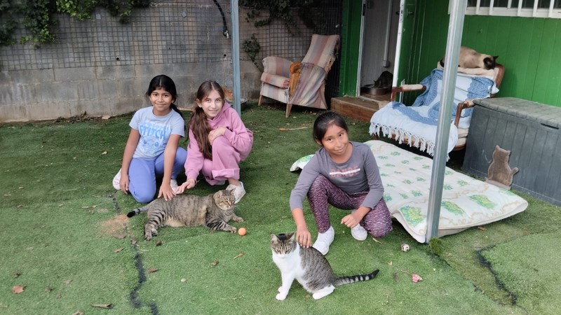 fb7b0935-70cd-43b0-8cd7-20ef2b7a2f2d (Copy)