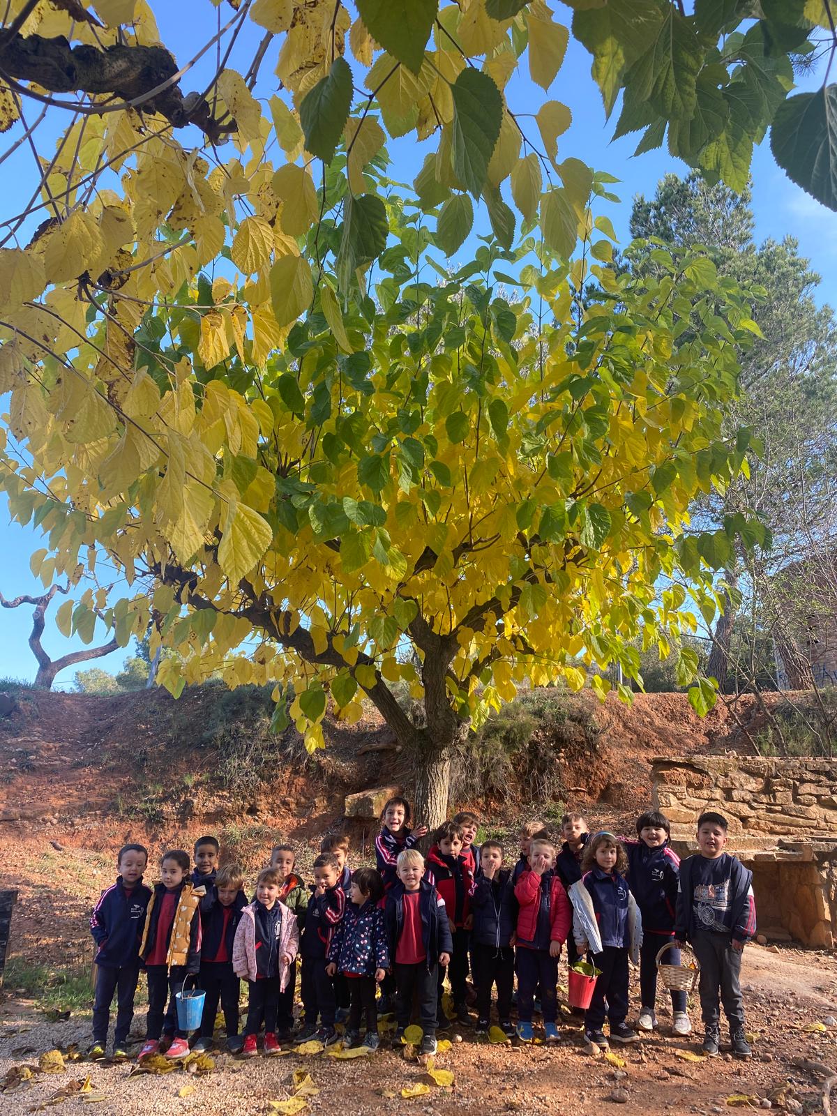 PHOTO-2024-11-11-13-11-09