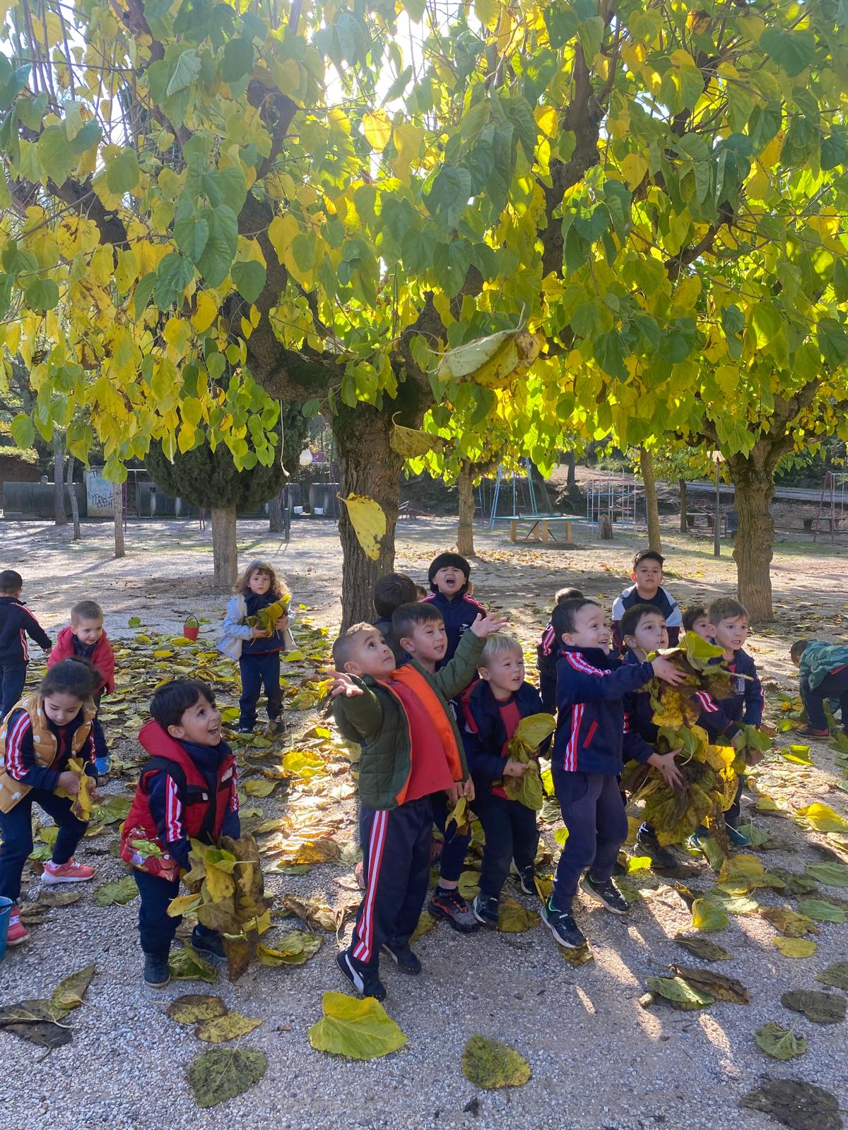 PHOTO-2024-11-11-13-11-26 (1)