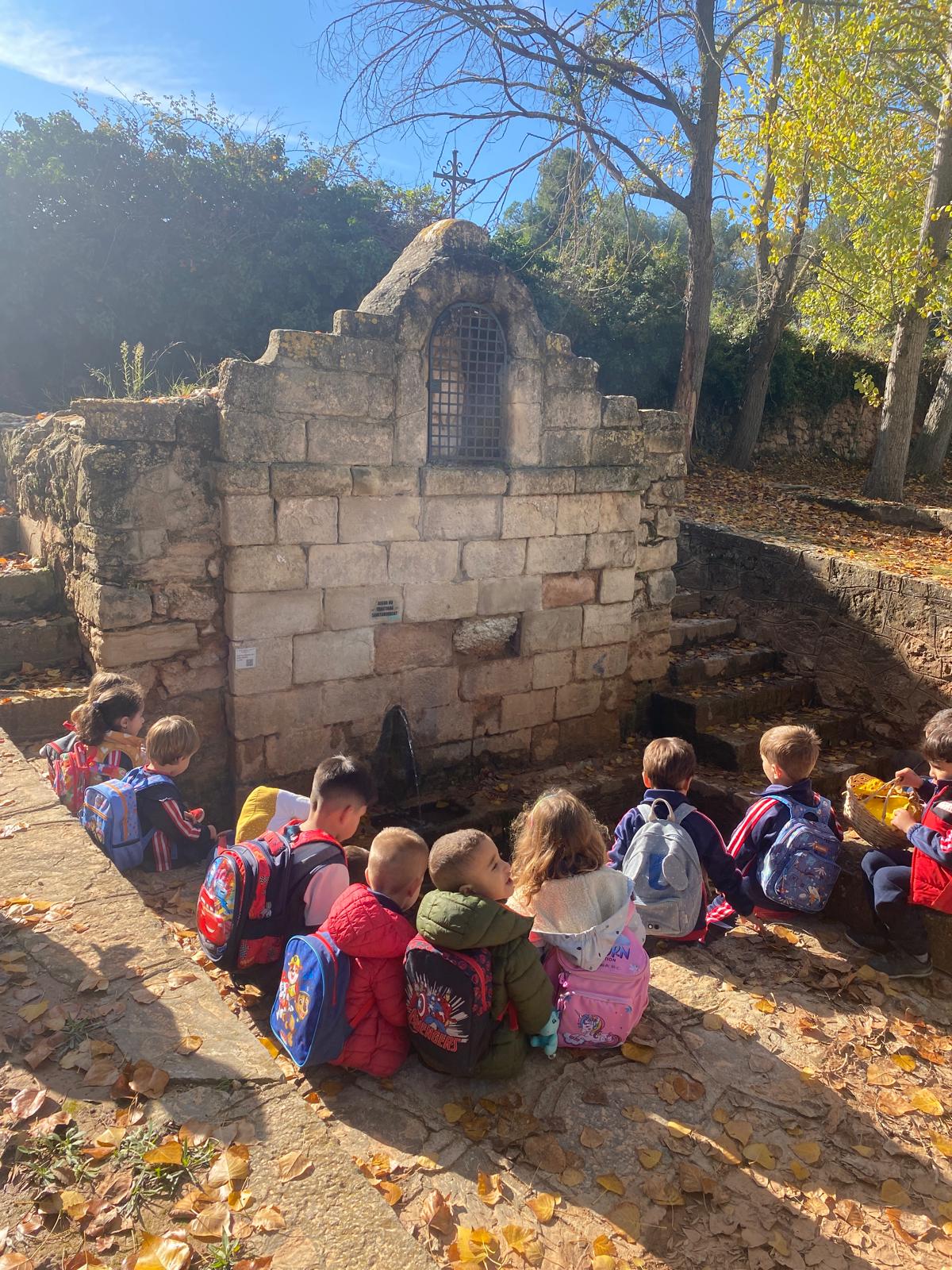 PHOTO-2024-11-11-13-12-50 (1)