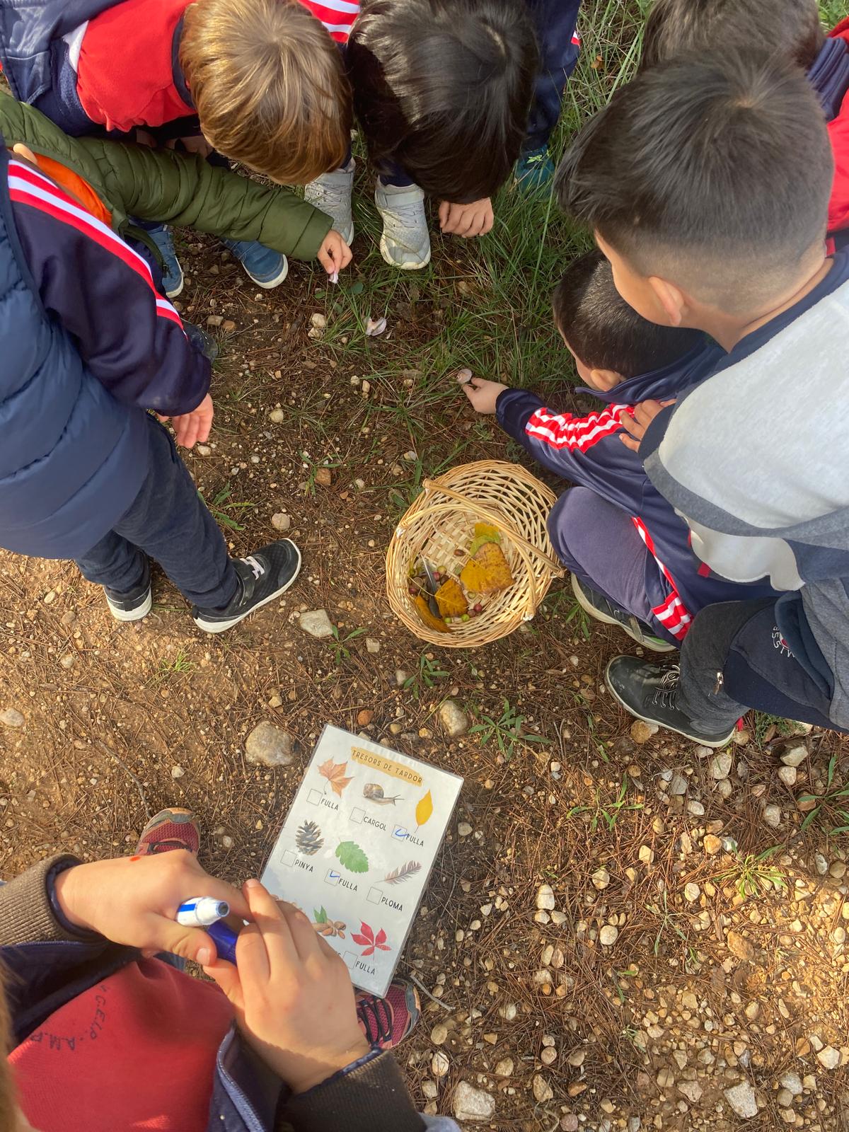 PHOTO-2024-11-11-13-13-55